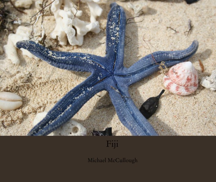 View Fiji by Michael McCullough