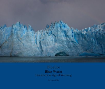 Blue Ice Blue Water book cover