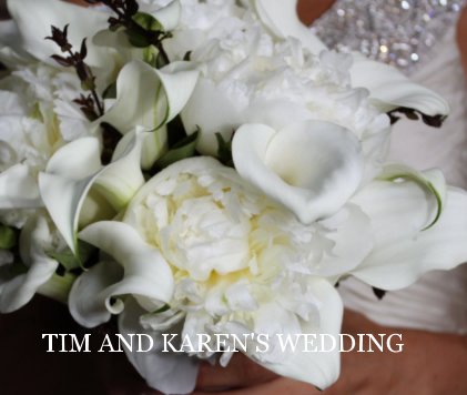 TIM AND KAREN'S WEDDING book cover
