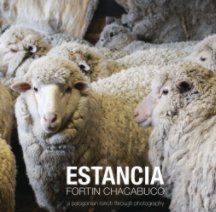 A Patagonian Estancia book cover