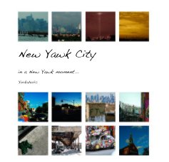 New Yawk City book cover