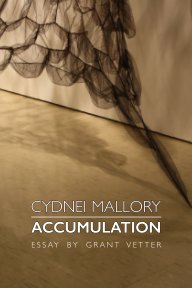 Accumulation book cover