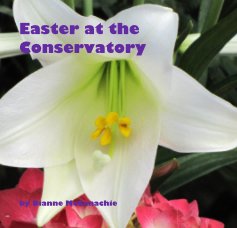 Easter at the Conservatory book cover