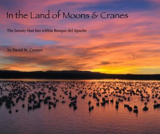 In the Land of Moons & Cranes book cover