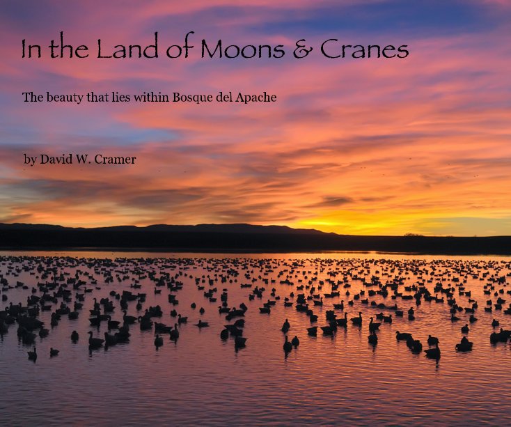 View In the Land of Moons & Cranes by David W. Cramer