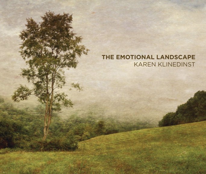 Visualizza The Emotional Landscape di Karen Klinedinst