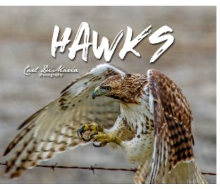 Hawks of Kansas book cover
