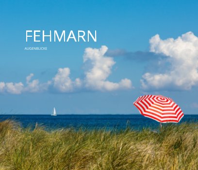 FEHMARN - AUGENBLICKE book cover