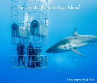 The Greats of Guadalupe book cover