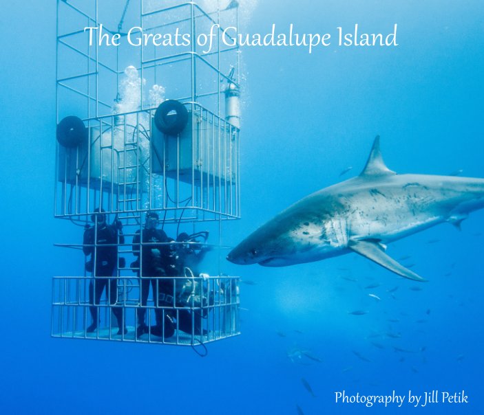 View The Greats of Guadalupe by Jill Petik  Nature In View, LLC