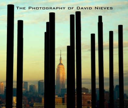 The Photography of David Nieves book cover