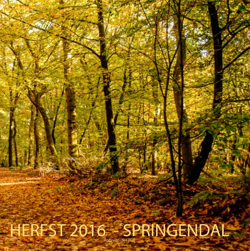 View Herfst - 2016 - Autumn by Rob van der Pijll