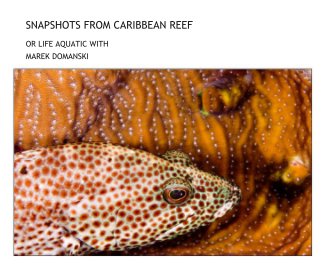 SNAPSHOTS FROM CARIBBEAN REEF book cover