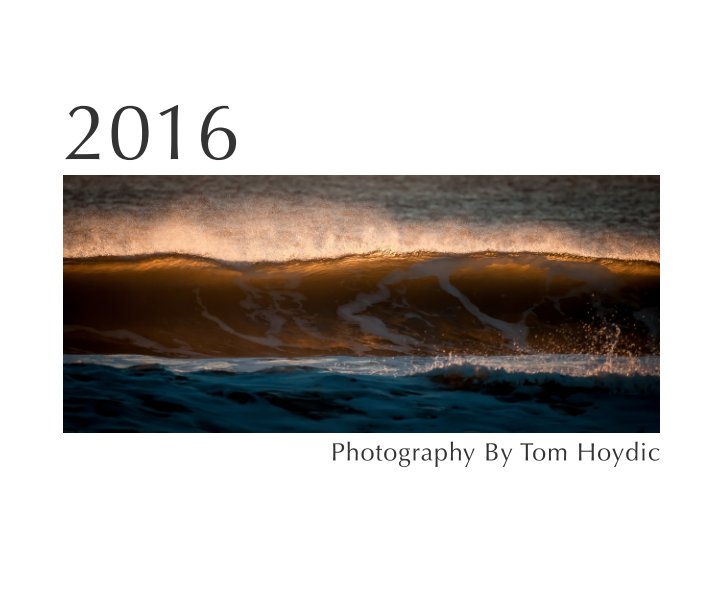 View 2016 by Tom Hoydic
