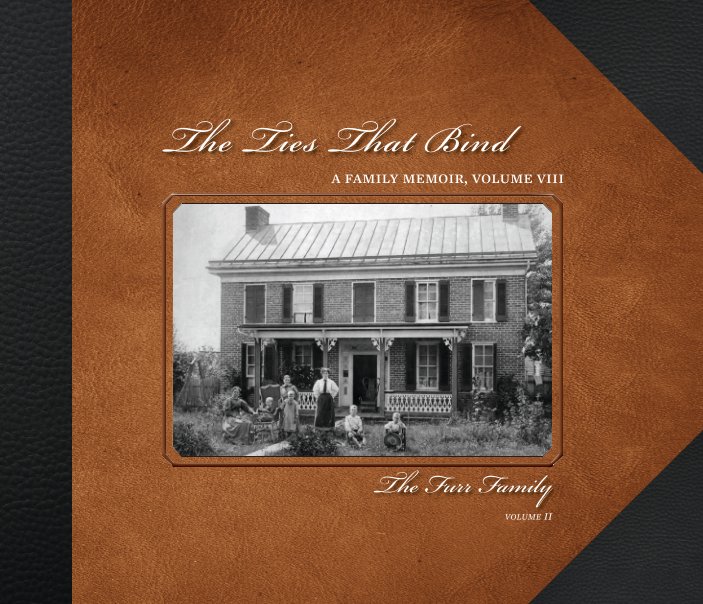 View The Ties That Bind, A Family Memoir, volume 8 by Sarah C Wolfe