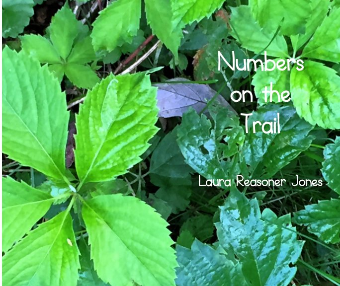 View Numbers on the Trail by Laura Reasoner Jones