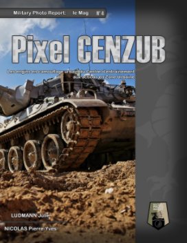 Pixel Cenzub book cover