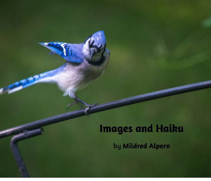 View Images and Haiku by Mildred Alpern