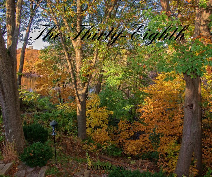 View The Thirty-Eighth by David Poe