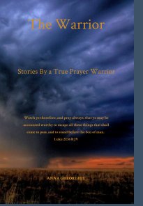 The Warrior book cover