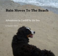Bain Moves To The Beach book cover