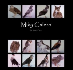 Miky Calero book cover