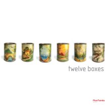 Twelve boxes book cover