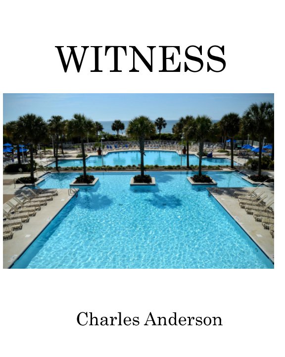 View Witness by Charles Anderson