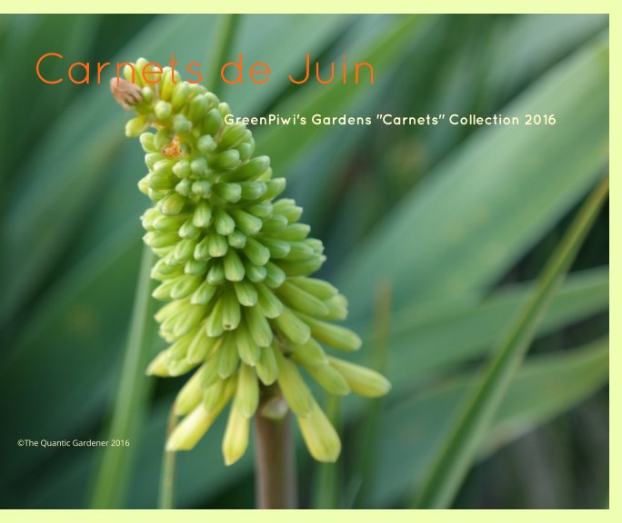 Visualizza Carnets de Juin di The Quantic Gardener