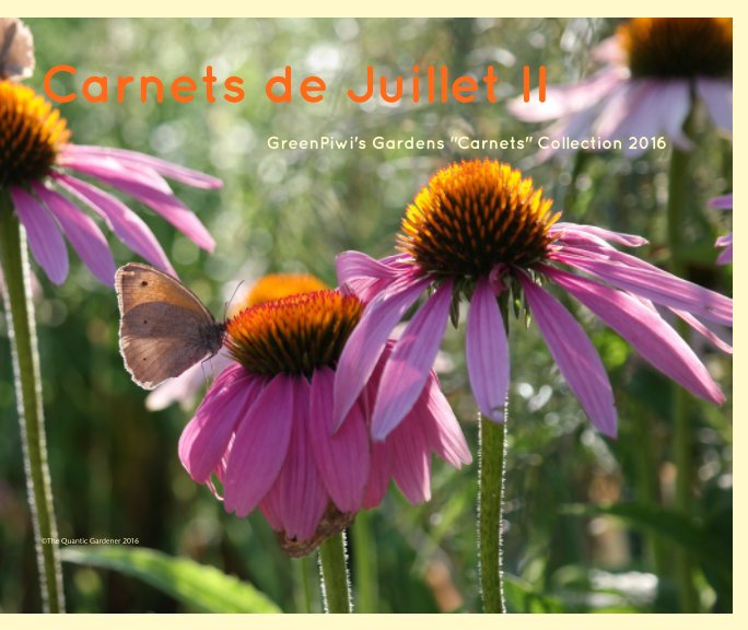 View Carnets de Juillet II by The Quantic Gardener