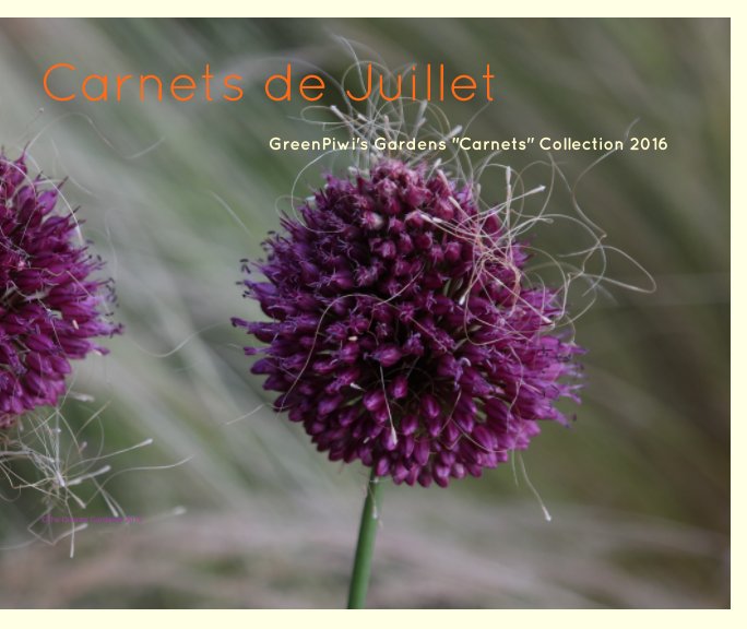 View Carnets de Juillet by The Quantic Gardener