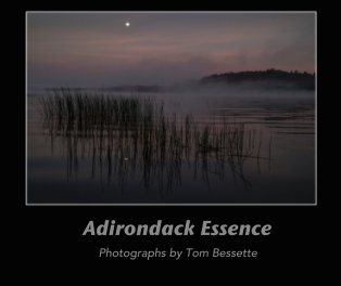 Adirondack Essence book cover