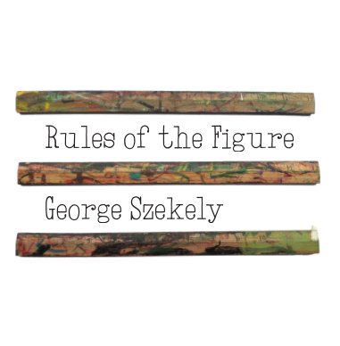 Rules of the Figure book cover