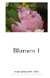 Blumen 1 book cover