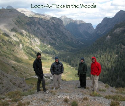 Loon-A-Ticks in the Woods book cover