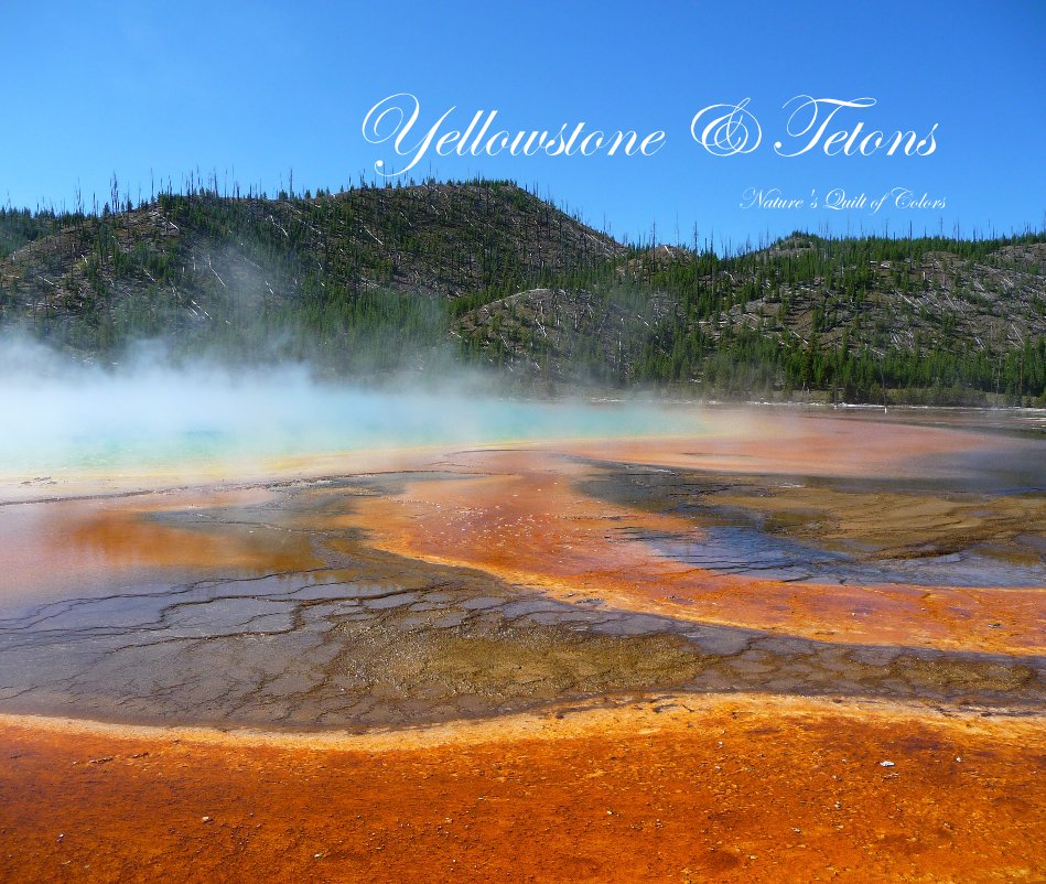 View Yellowstone & Tetons by Doreen Lawrence