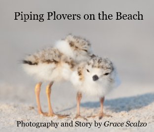 Piping Plovers on the Beach book cover