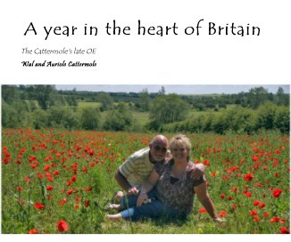 A year in the heart of Britain book cover