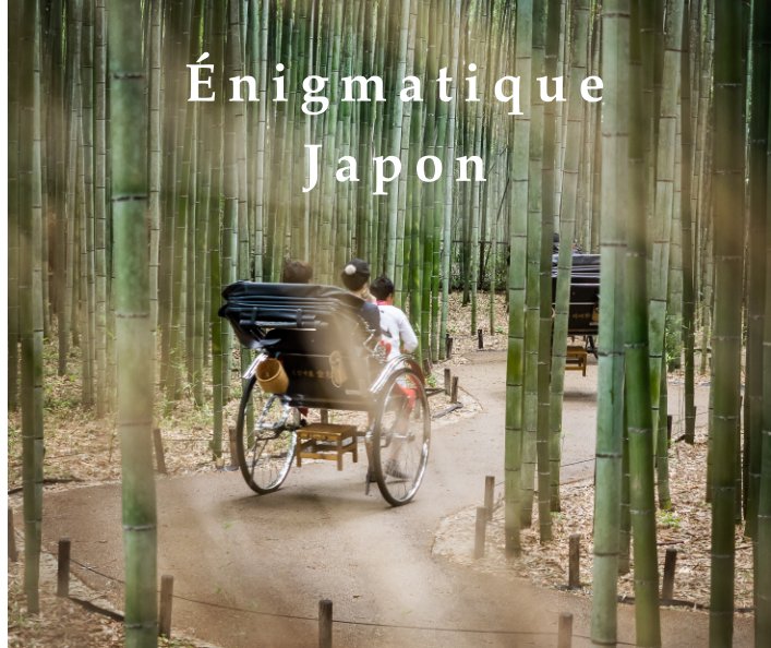 View Énigmatique Japon by Richard Duret