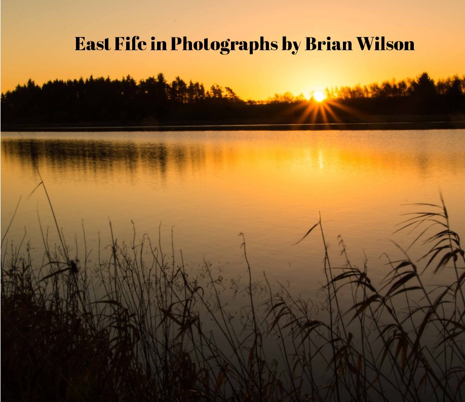 Visualizza Photographs of East Fife di Brian Wilson