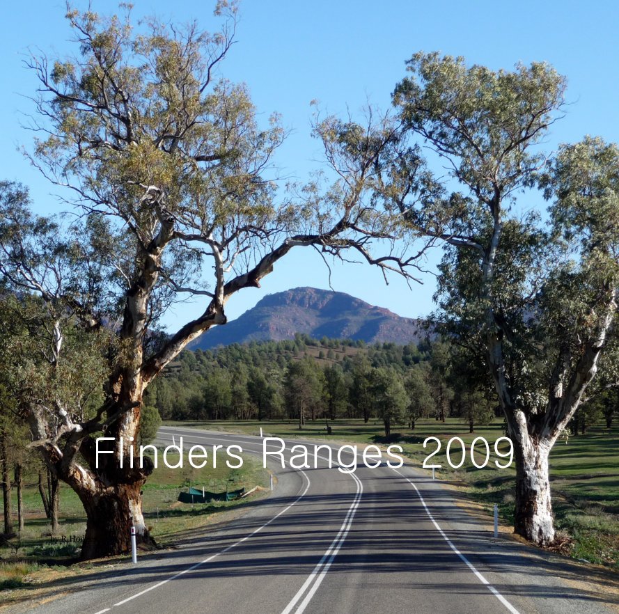 View Flinders Ranges 2009 by R.Hodges