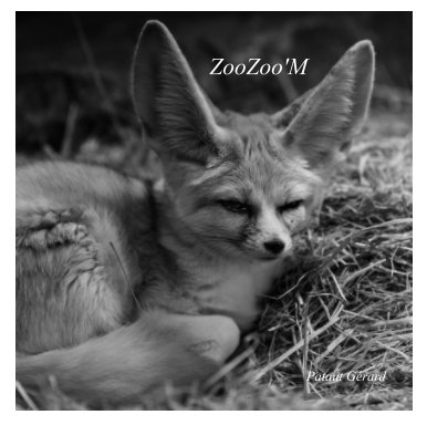 ZooZoo'M book cover