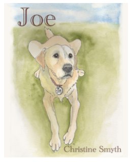 Joe book cover