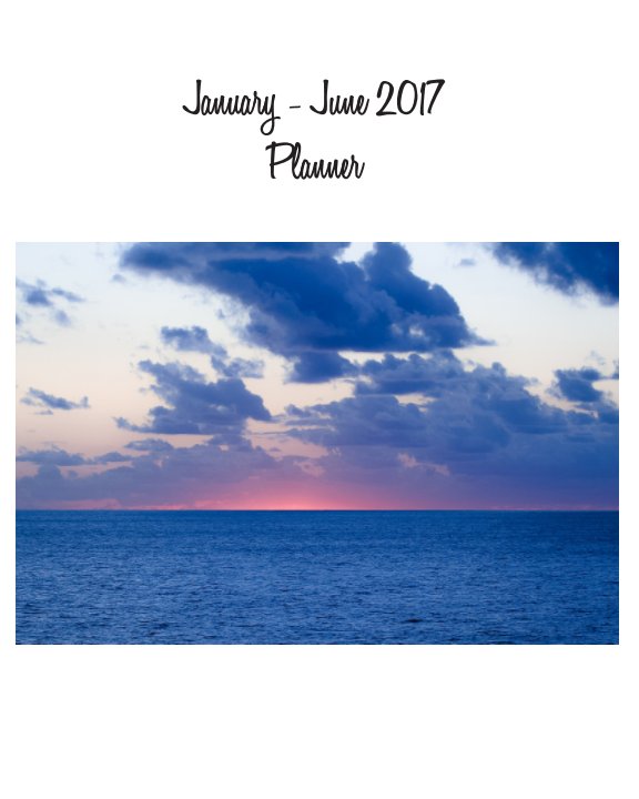 View The "Everything" Planner (January - June 2017, Softcover) by Danielle Loncki-Young