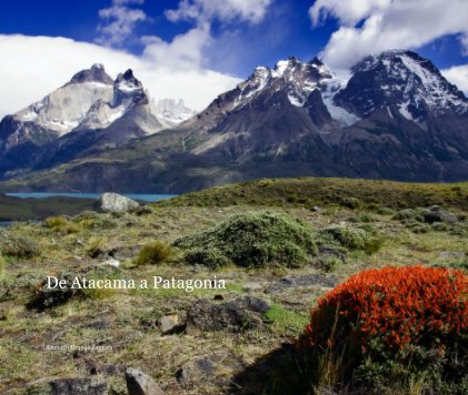 De Atacama a Patagonia book cover
