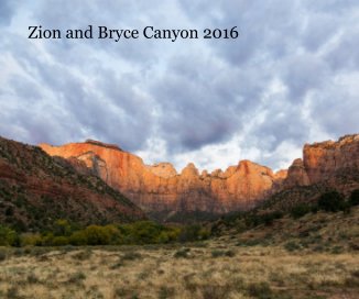 Zion and Bryce Canyon 2016 book cover