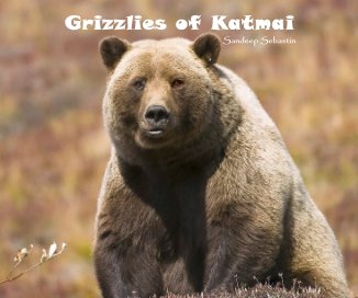 Grizzlies of Katmai book cover