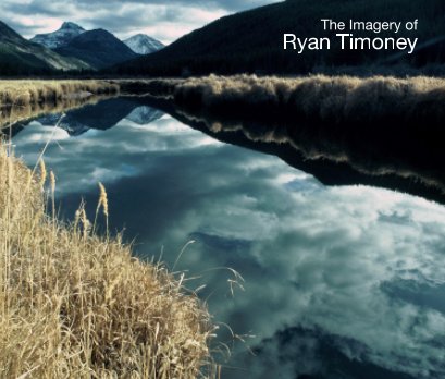The Imagery of Ryan Timoney book cover