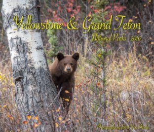 Yellowstone & Grand Teton National Parks 2016 book cover