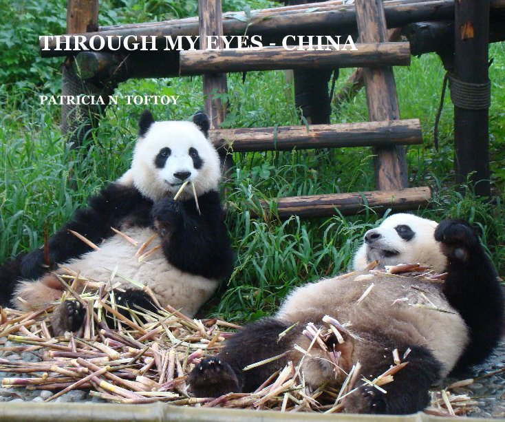 Visualizza THROUGH MY EYES - CHINA di PATRICIA N TOFTOY